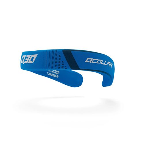cushioning collar 首輪 3-color Amazon.com : Cat Collar Breakaway Seattle Vivid Skyline