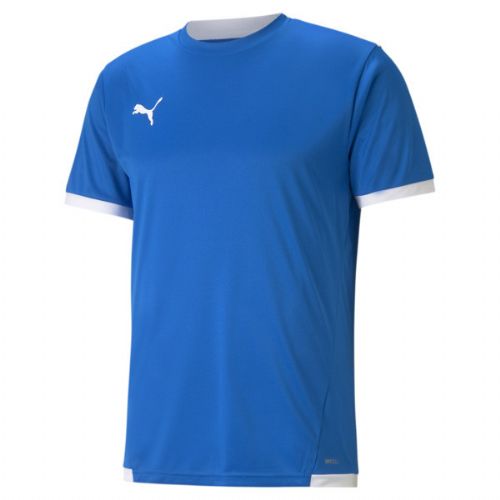 Puma Youth teamLIGA Jersey