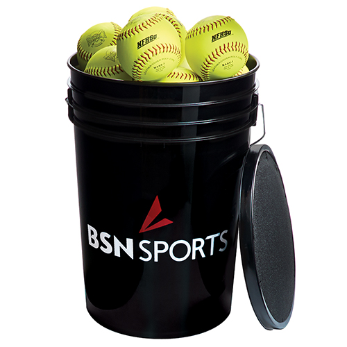 BSN Softballs thumbnail