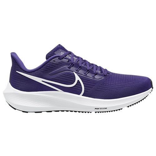 NIKE - NIKE AIR ZOOM PEGASUS 39  29㎝ Nike Air Zoom Pegasus 39 Ekiden Zoom Pack 2022 - DZ4776-343