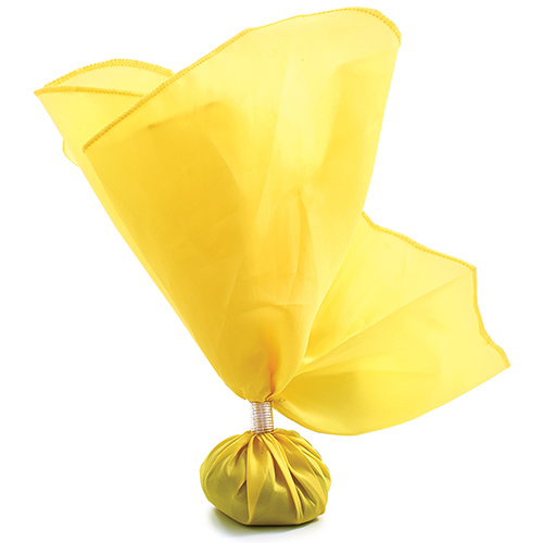 BSN Sports Penalty Flag