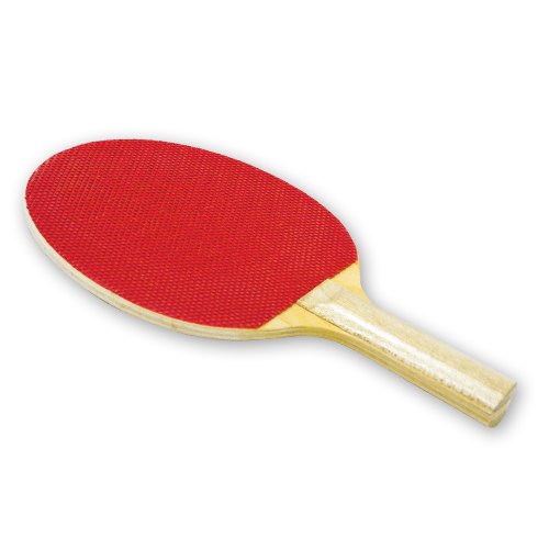 GameCraft Economy Rubber Table Tennis Paddle